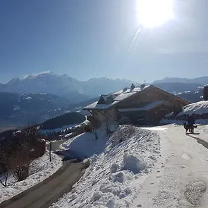 La Joubarbe Au Balcon Du Mont-blanc Chalet